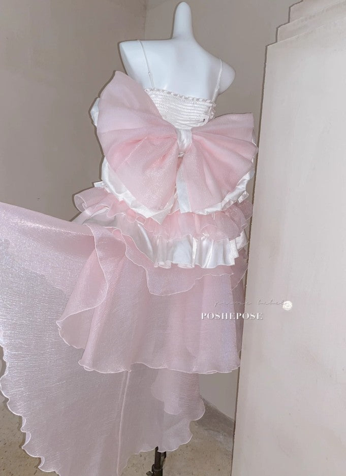 Beauty Like a Fleeting Life Dress - PoshePose Global