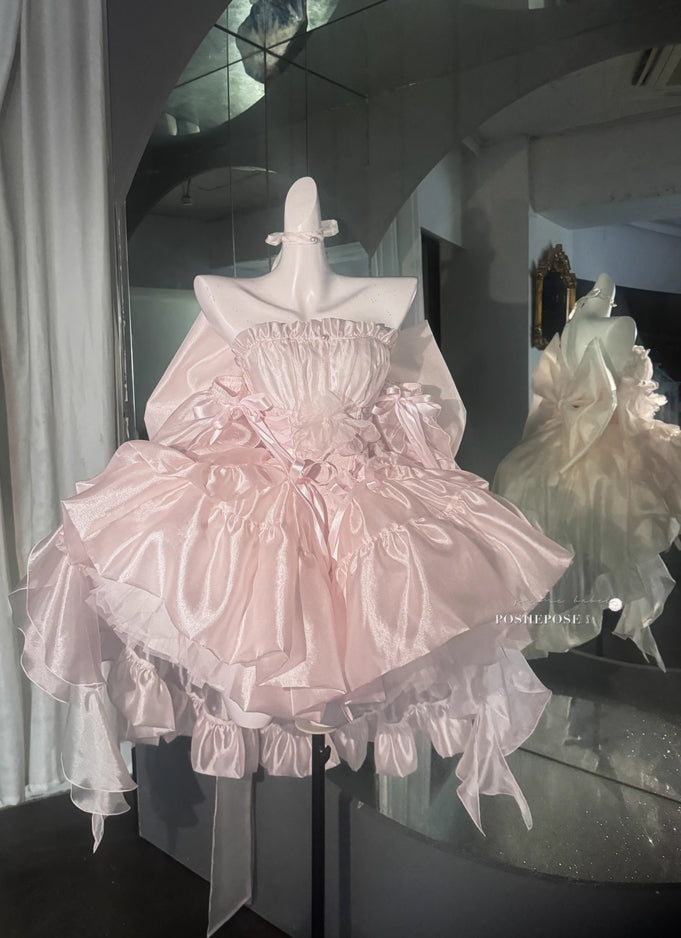 Pink Brocade & Feathers Dress - PoshePose Global