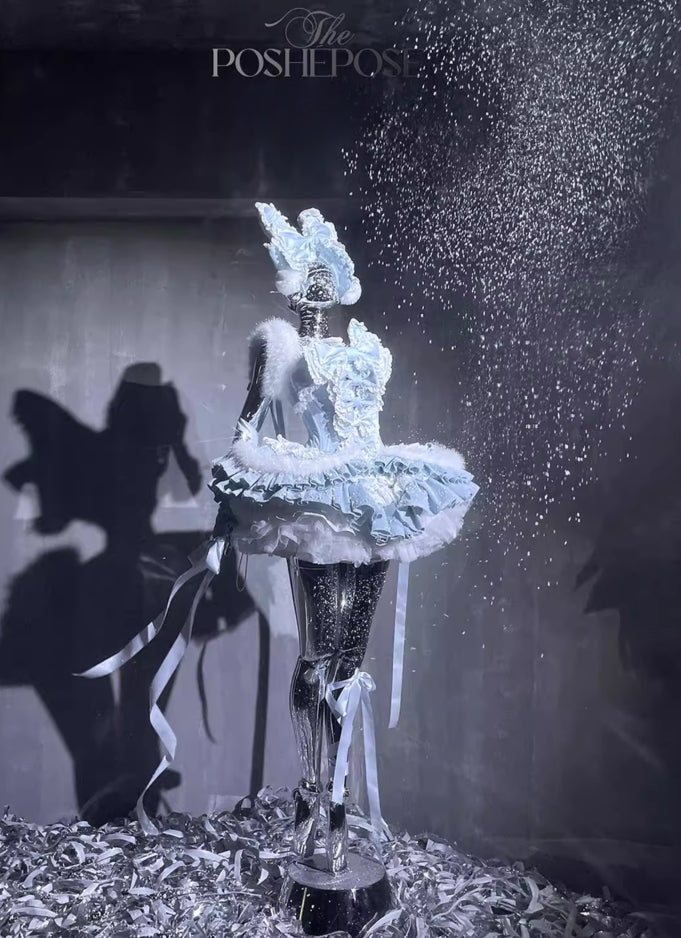 Winter Swan Lake Elegance Dress - PoshePose Global