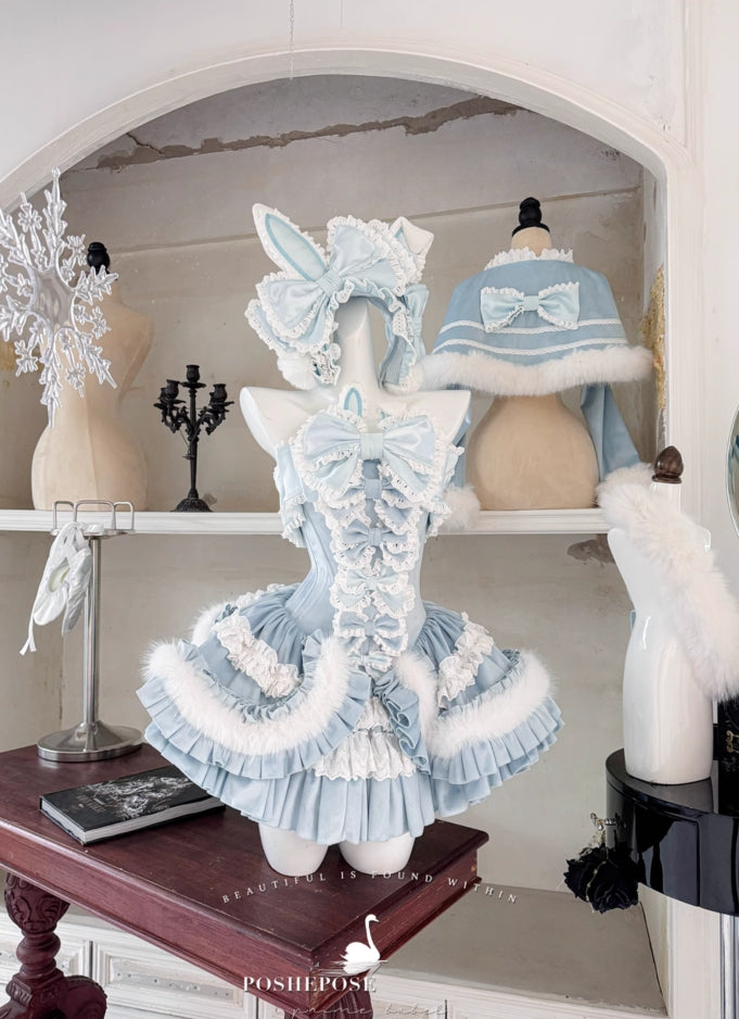 Winter Swan Lake Elegance Dress - PoshePose Global