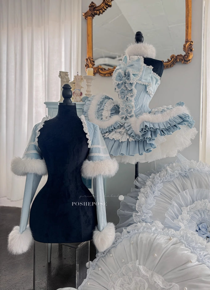 Winter Swan Lake Elegance Dress - PoshePose Global