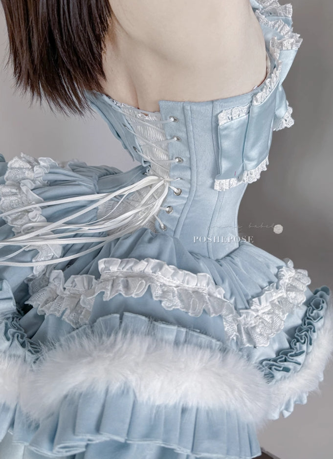 Winter Swan Lake Elegance Dress - PoshePose Global