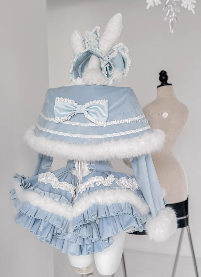 Winter Swan Lake Elegance Dress - PoshePose Global