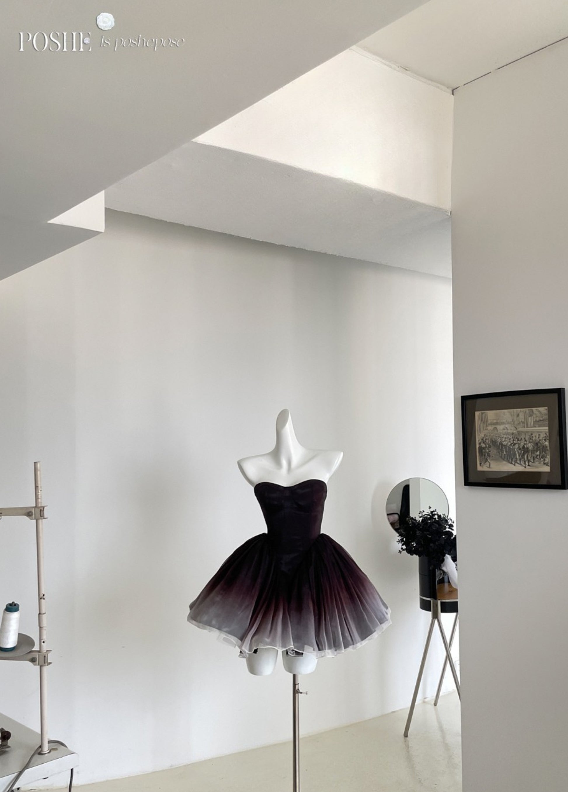 Fashion editorial Black Swan dress with gradient detailing.