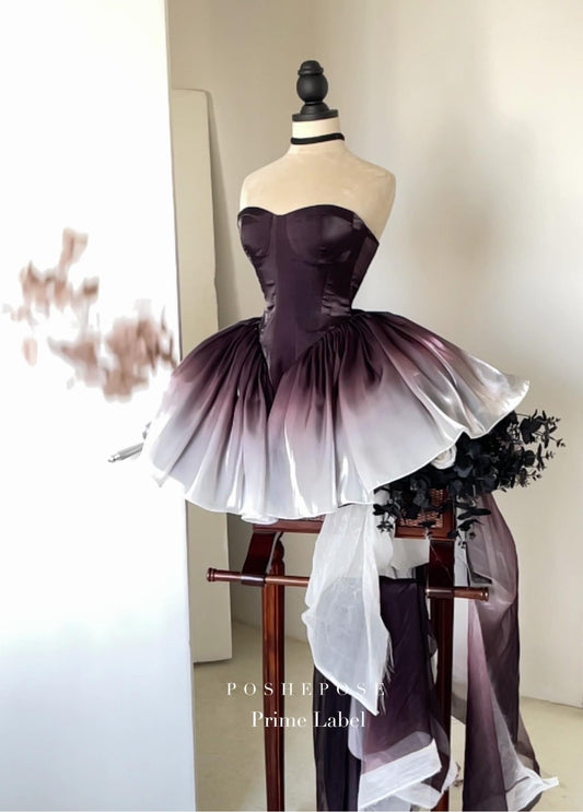PoshePose Black Swan dress with gradient skirt and structured corset bodice.