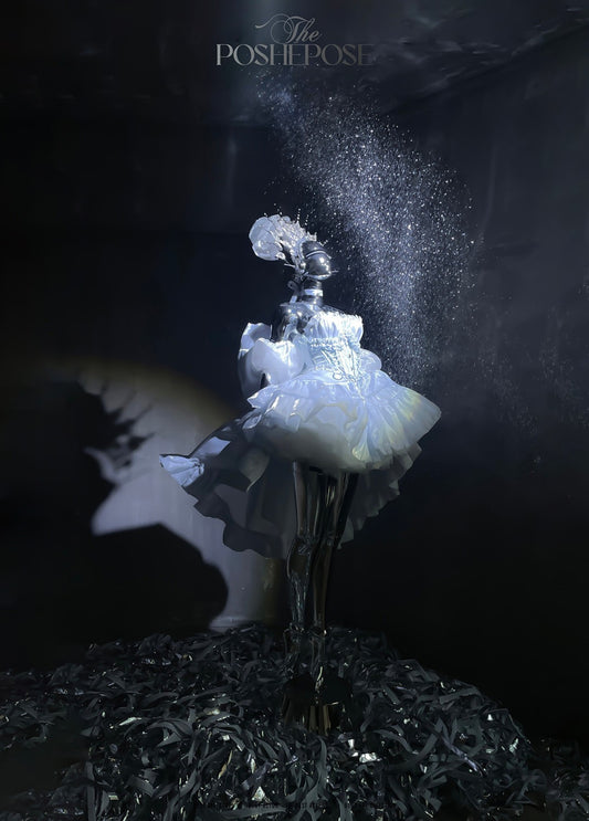 Princess of the Heart Dress - PoshePose Global