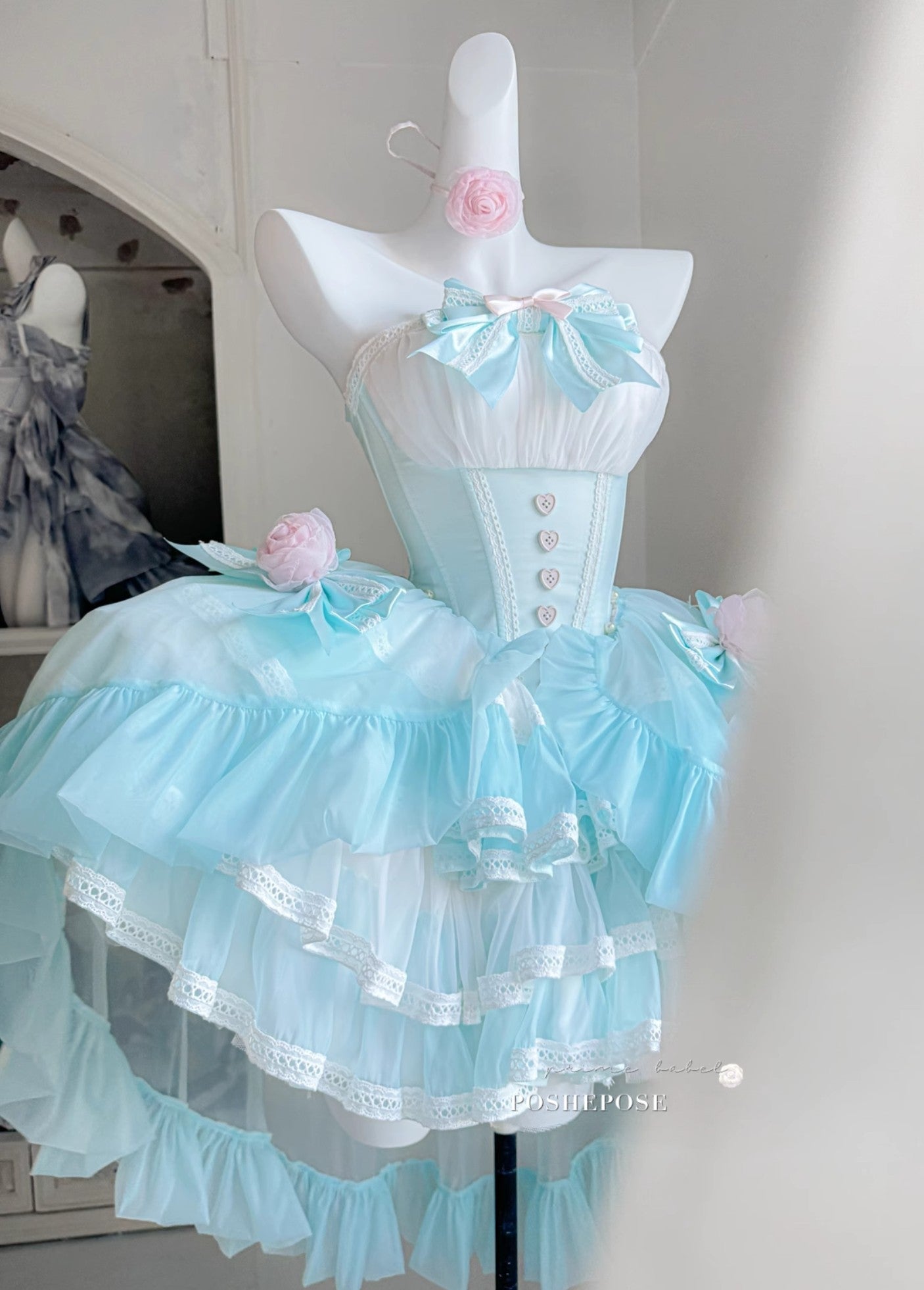 As Your Heart the Dream Ballet Dress - PoshePose Global