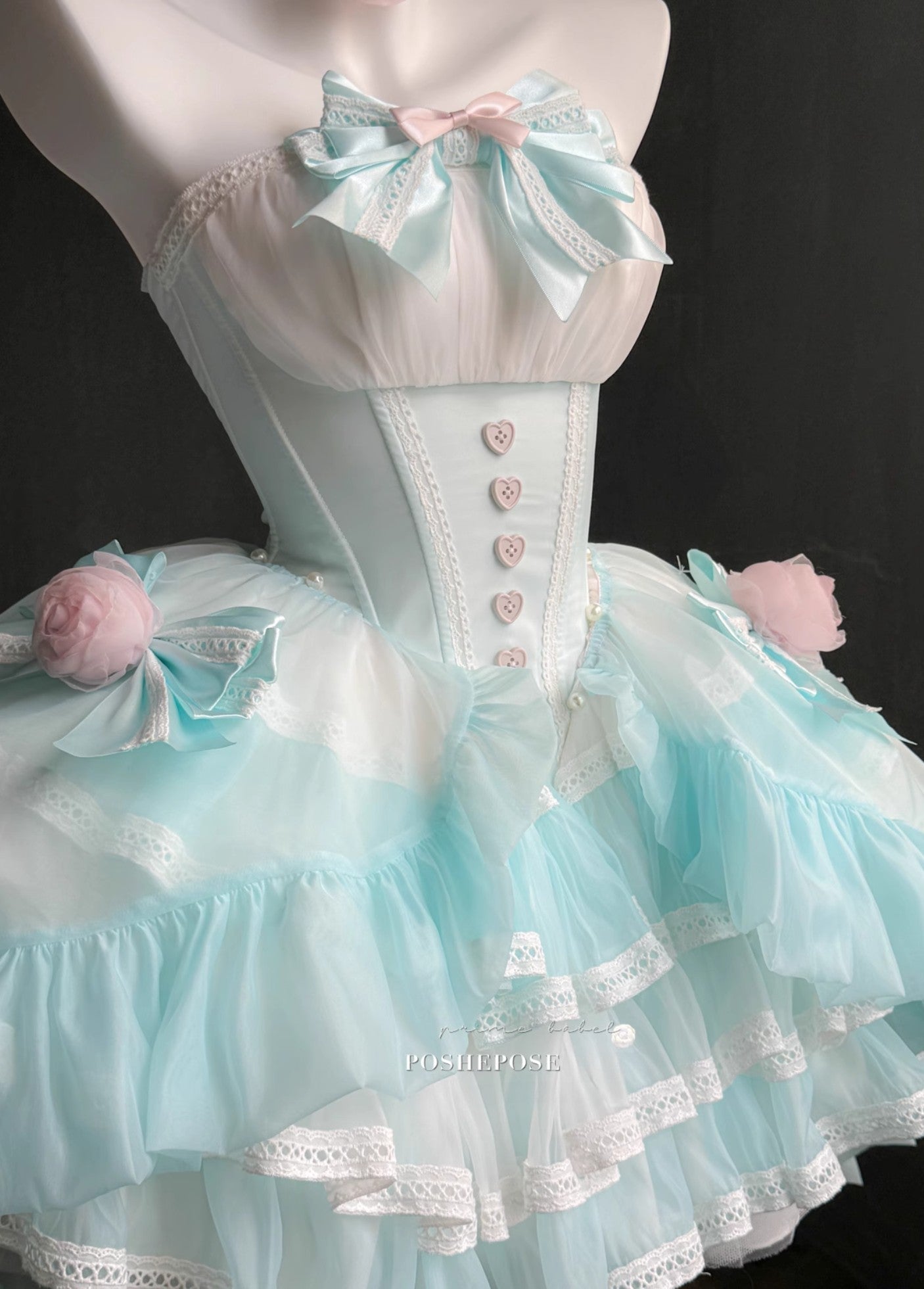 As Your Heart the Dream Ballet Dress - PoshePose Global