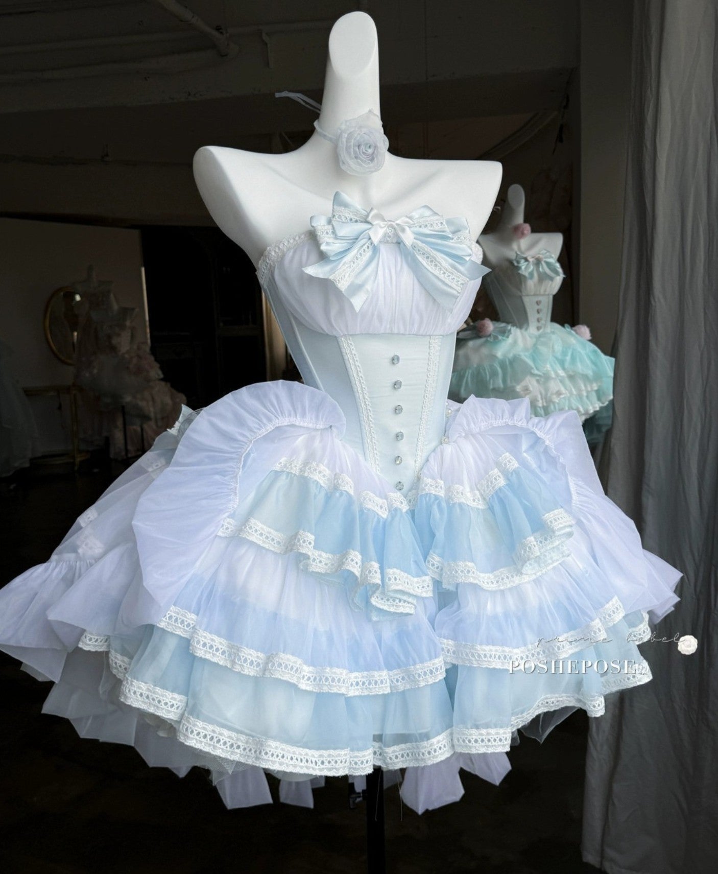 As Your Heart the Dream Ballet Dress - PoshePose Global