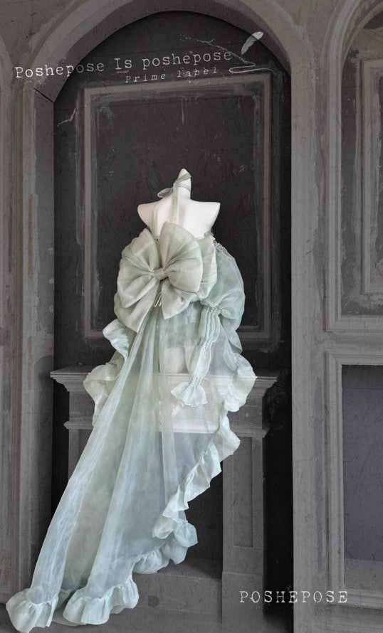 Haute Couture Dress Collection - PoshePose Global