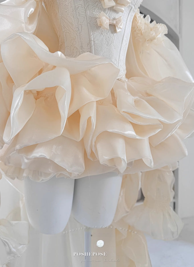 Haute Couture Dress Collection - PoshePose Global