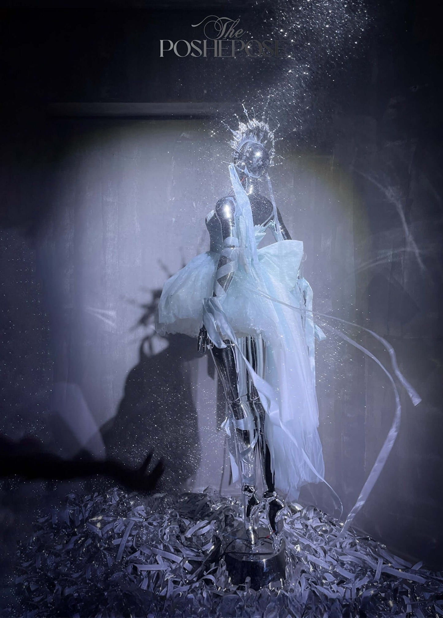 Ballet Swan Grace Gown - PoshePose Global