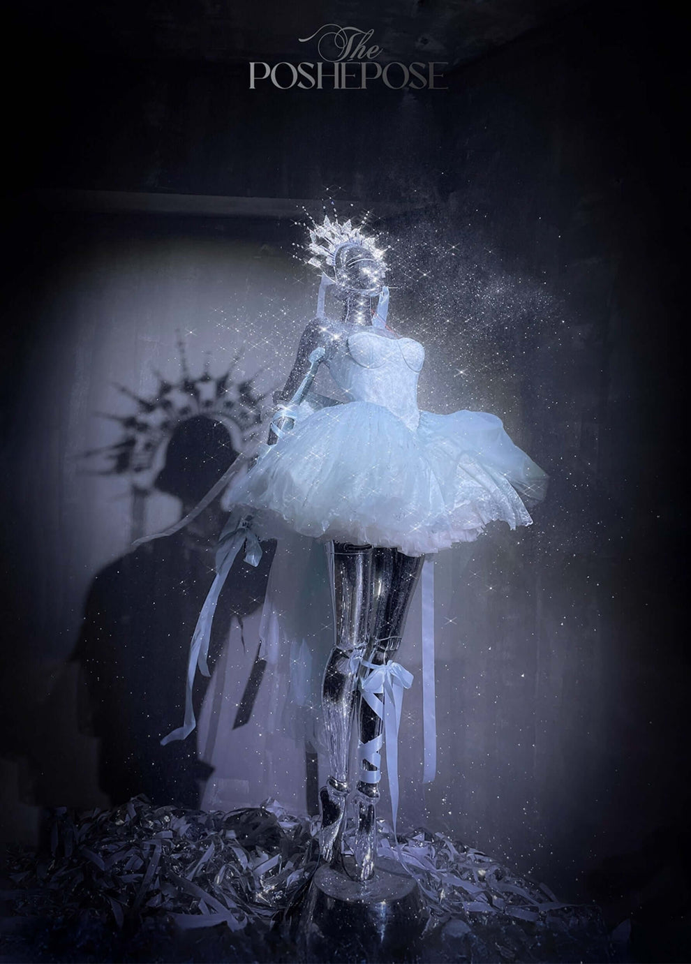Poshepose Ballet Swan Grace Dress