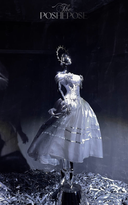 Luminious Moon Silver Antique Long Dress - PoshePose Global