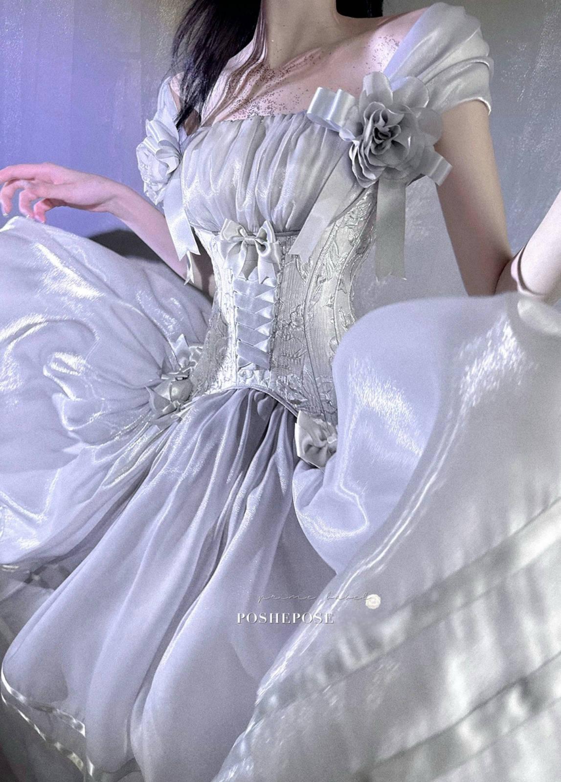 Luminious Moon Silver Antique Long Dress - PoshePose Global