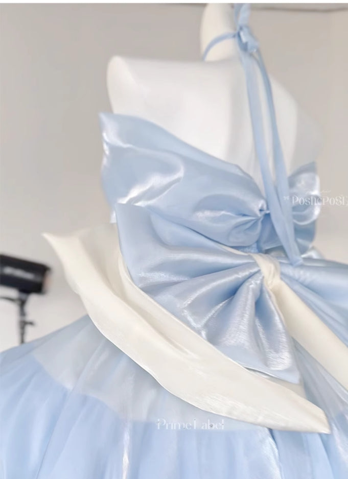 Sky mist Princess Dress - PoshePose Global